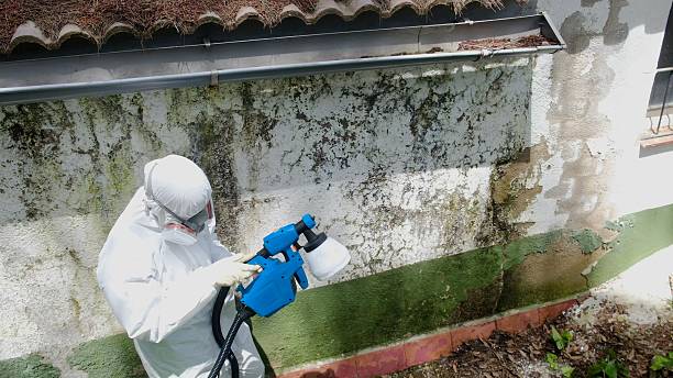 Top rated local Mold Inspection And Testing specialists in Emporia, VA
